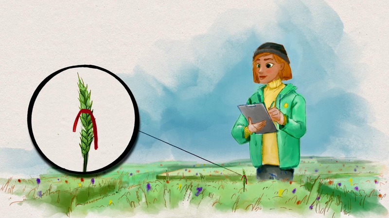 Video- Why to engage in organic breeding?