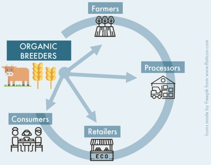 Representation of value-chain actors, including breeders