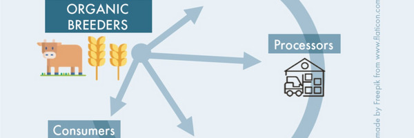 Representation of organic value chain, including breeders